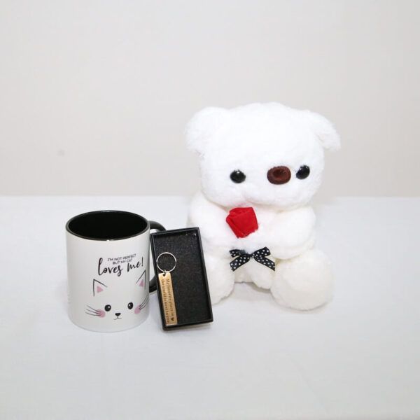 Grey-GiftBox-Teddy-Mug-Keychain