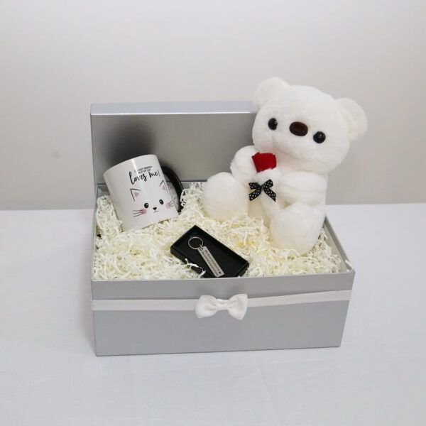 Grey-GiftBox-Teddy-Mug-Keychain